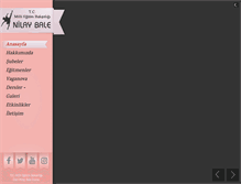 Tablet Screenshot of nilaybale.com